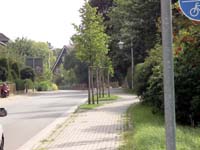 Krummbek Village Street